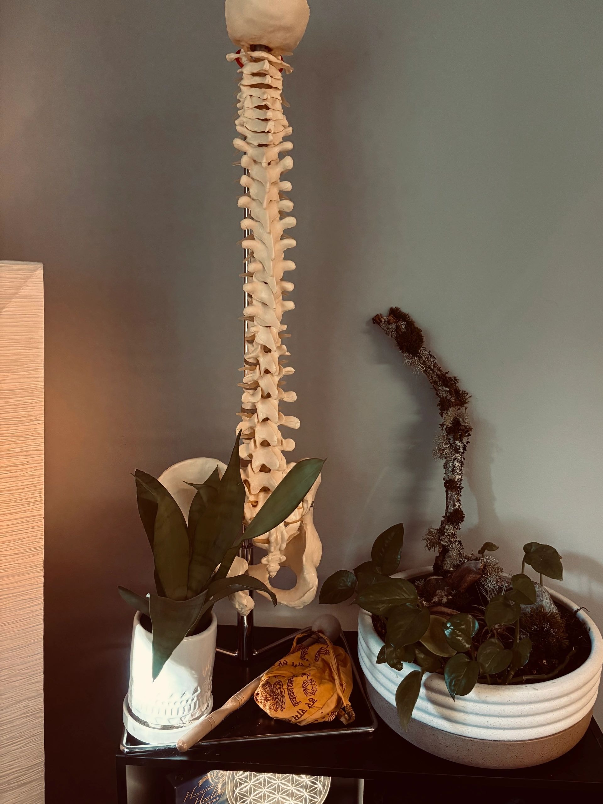 Anatomical display in treatment space